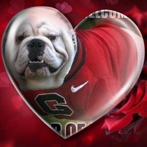 Meet your Posher, Charlotte